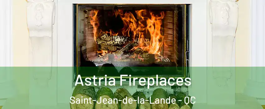  Astria Fireplaces Saint-Jean-de-la-Lande - QC