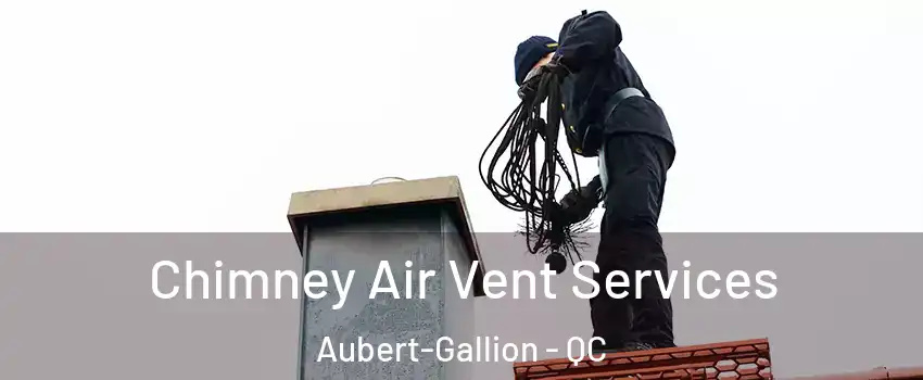  Chimney Air Vent Services Aubert-Gallion - QC