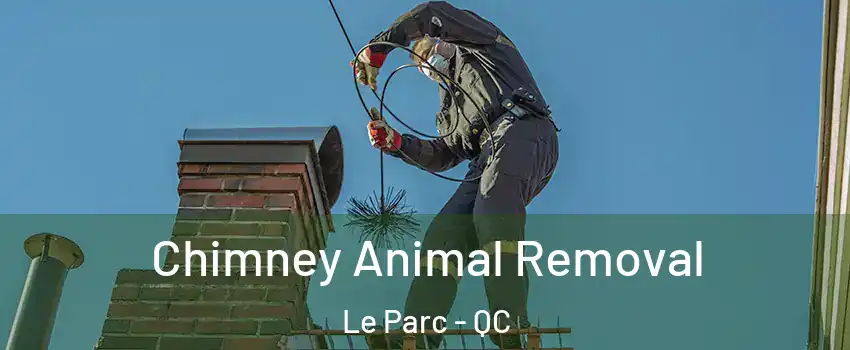 Chimney Animal Removal Le Parc - QC
