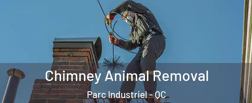  Chimney Animal Removal Parc Industriel - QC