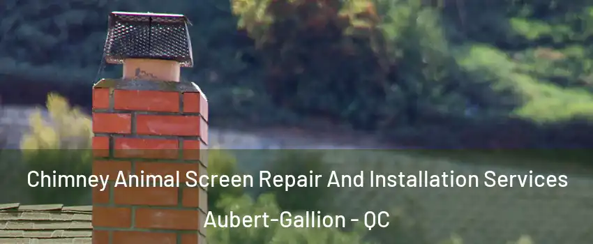  Chimney Animal Screen Repair And Installation Services Aubert-Gallion - QC