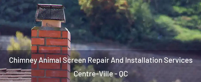  Chimney Animal Screen Repair And Installation Services Centre-Ville - QC