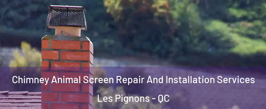  Chimney Animal Screen Repair And Installation Services Les Pignons - QC