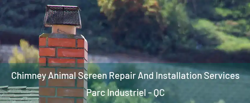  Chimney Animal Screen Repair And Installation Services Parc Industriel - QC
