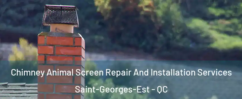  Chimney Animal Screen Repair And Installation Services Saint-Georges-Est - QC