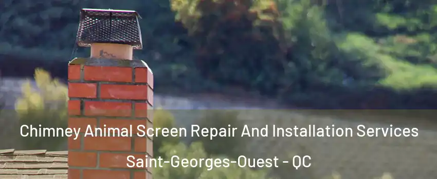 Chimney Animal Screen Repair And Installation Services Saint-Georges-Ouest - QC
