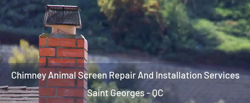  Chimney Animal Screen Repair And Installation Services Saint Georges - QC