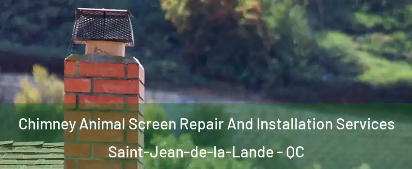  Chimney Animal Screen Repair And Installation Services Saint-Jean-de-la-Lande - QC