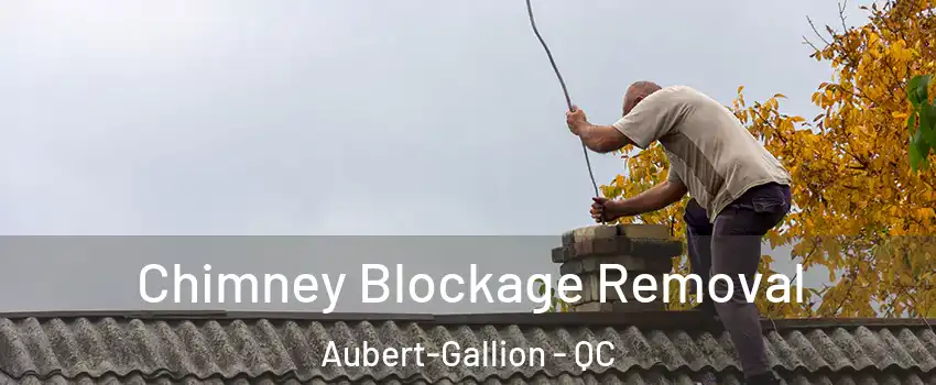  Chimney Blockage Removal Aubert-Gallion - QC