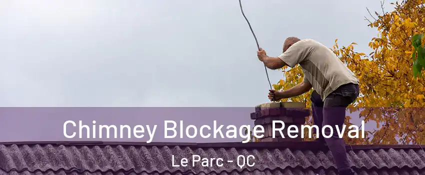  Chimney Blockage Removal Le Parc - QC