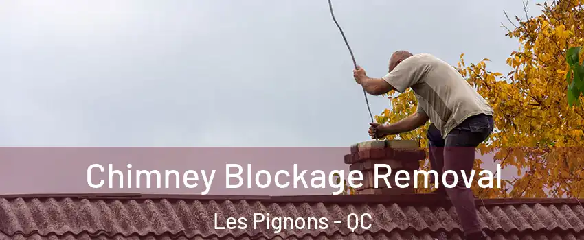  Chimney Blockage Removal Les Pignons - QC