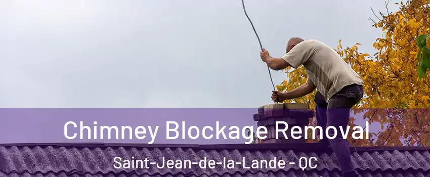  Chimney Blockage Removal Saint-Jean-de-la-Lande - QC