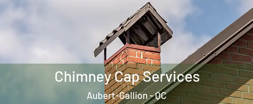  Chimney Cap Services Aubert-Gallion - QC