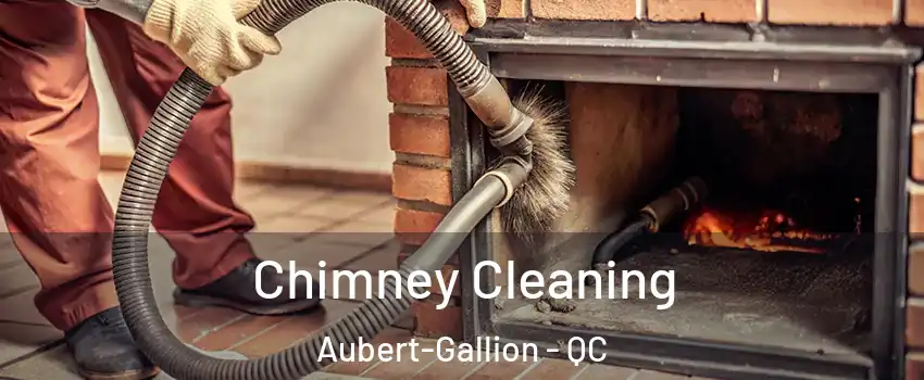  Chimney Cleaning Aubert-Gallion - QC