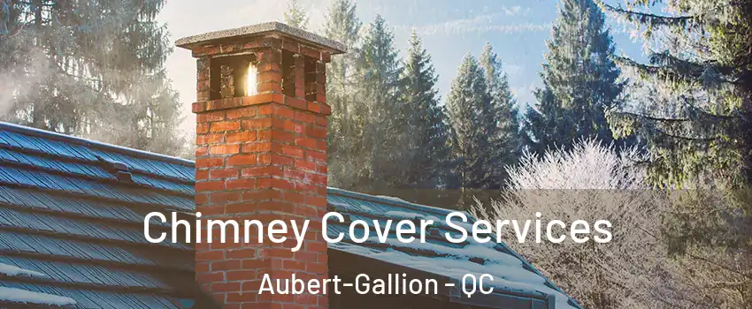  Chimney Cover Services Aubert-Gallion - QC