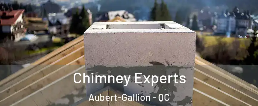 Chimney Experts Aubert-Gallion - QC