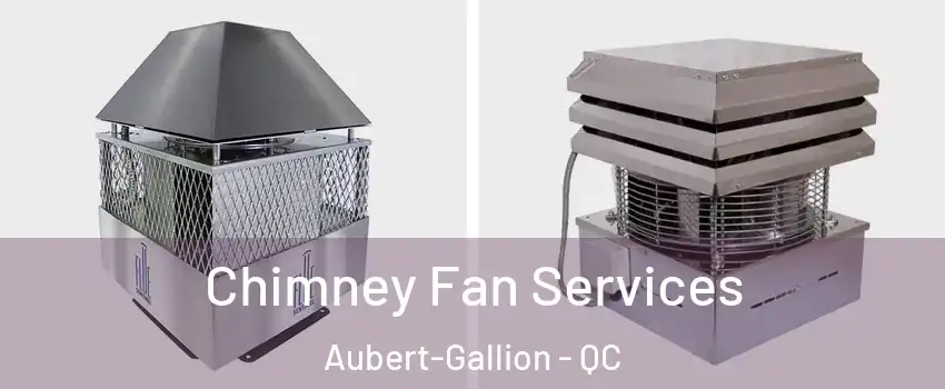  Chimney Fan Services Aubert-Gallion - QC