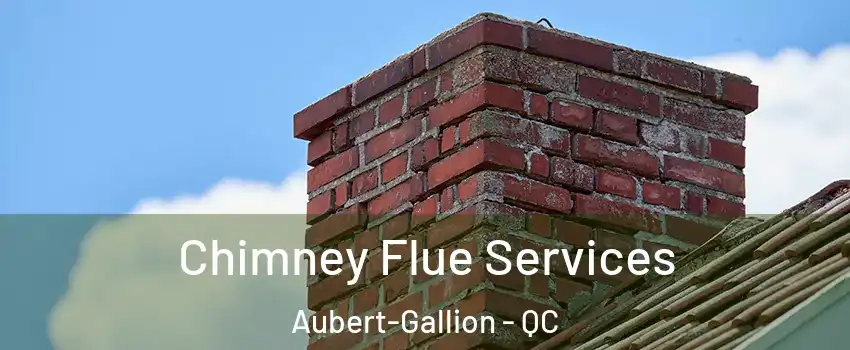  Chimney Flue Services Aubert-Gallion - QC