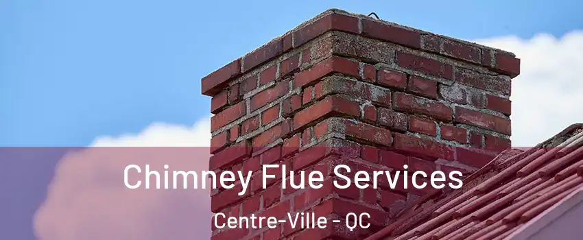  Chimney Flue Services Centre-Ville - QC
