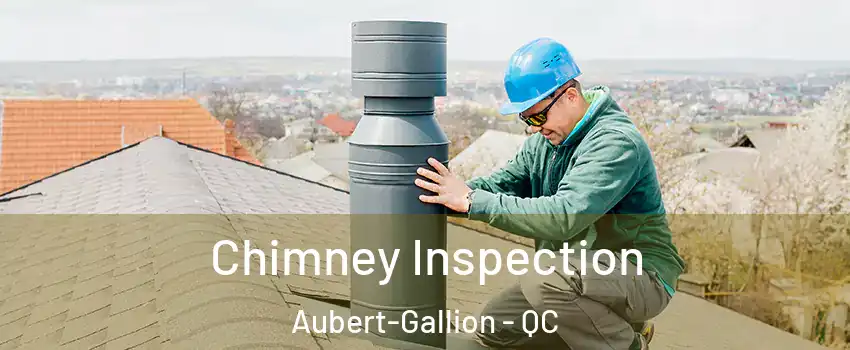  Chimney Inspection Aubert-Gallion - QC