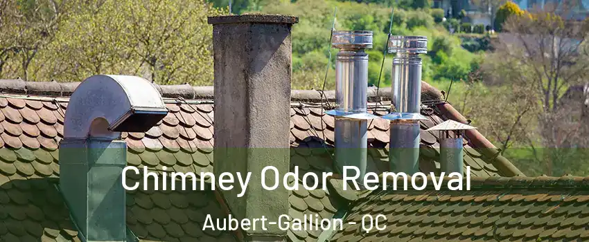  Chimney Odor Removal Aubert-Gallion - QC
