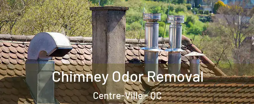  Chimney Odor Removal Centre-Ville - QC