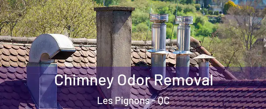  Chimney Odor Removal Les Pignons - QC
