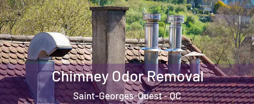  Chimney Odor Removal Saint-Georges-Ouest - QC