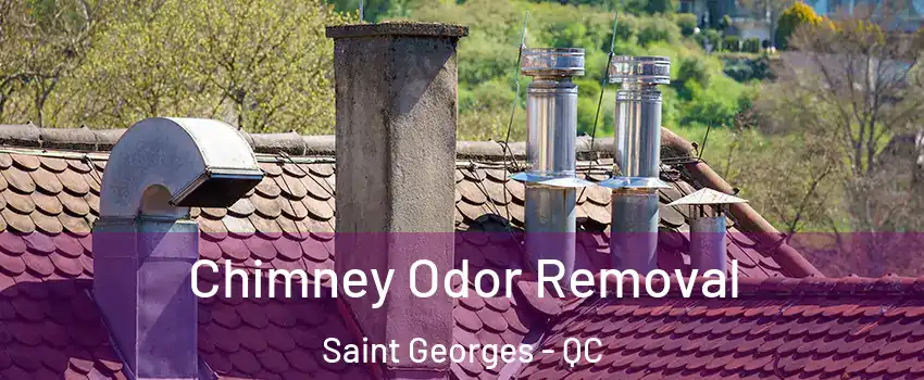  Chimney Odor Removal Saint Georges - QC
