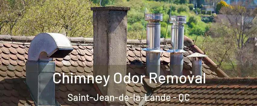  Chimney Odor Removal Saint-Jean-de-la-Lande - QC