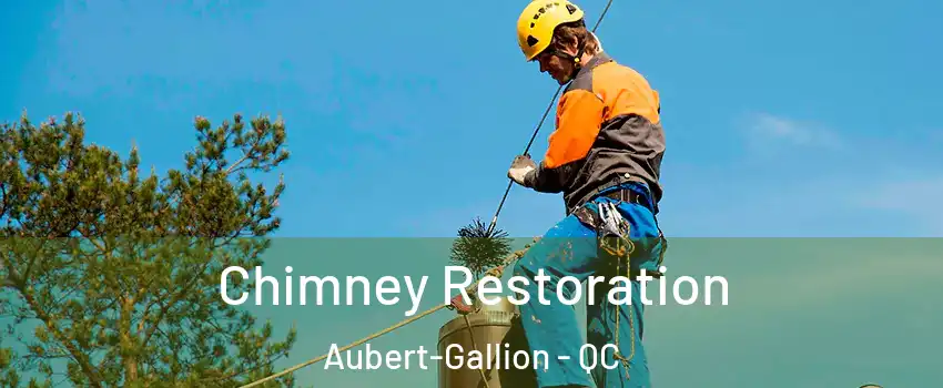  Chimney Restoration Aubert-Gallion - QC