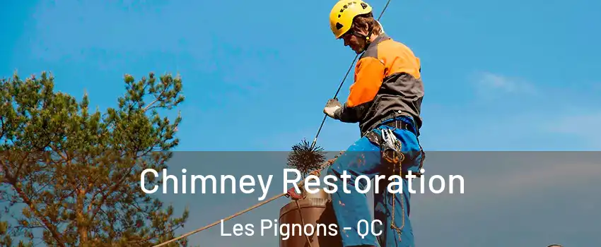  Chimney Restoration Les Pignons - QC