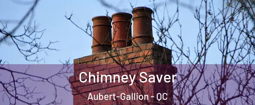  Chimney Saver Aubert-Gallion - QC