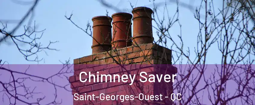  Chimney Saver Saint-Georges-Ouest - QC