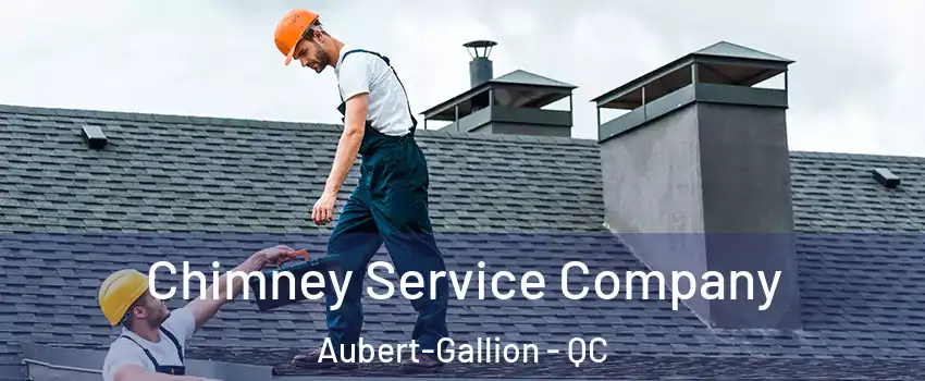  Chimney Service Company Aubert-Gallion - QC
