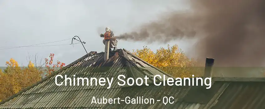  Chimney Soot Cleaning Aubert-Gallion - QC