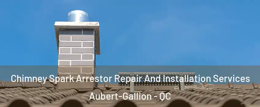  Chimney Spark Arrestor Repair And Installation Services Aubert-Gallion - QC