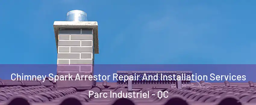  Chimney Spark Arrestor Repair And Installation Services Parc Industriel - QC