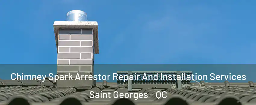  Chimney Spark Arrestor Repair And Installation Services Saint Georges - QC