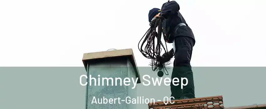  Chimney Sweep Aubert-Gallion - QC