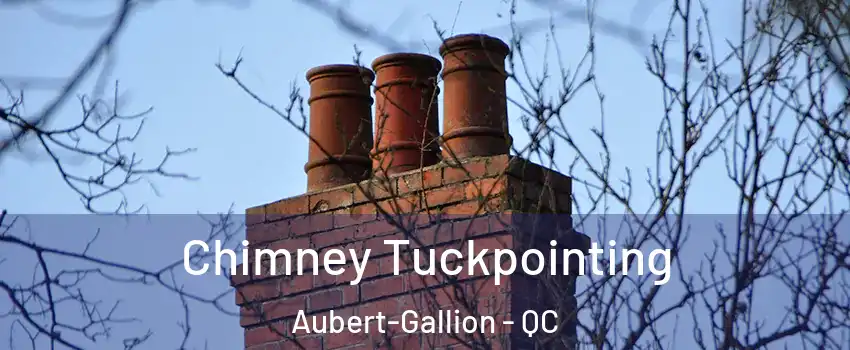  Chimney Tuckpointing Aubert-Gallion - QC