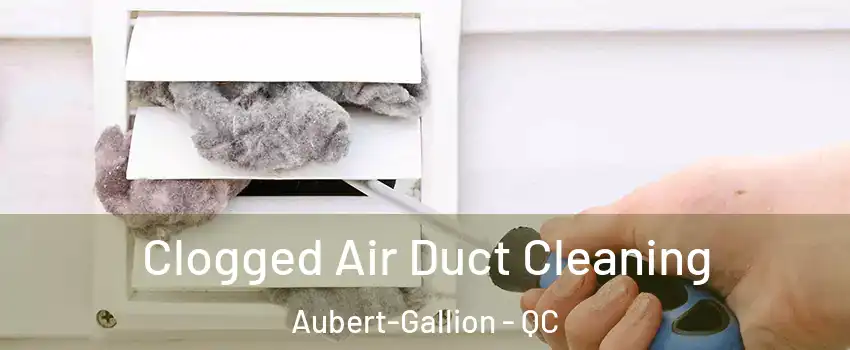  Clogged Air Duct Cleaning Aubert-Gallion - QC