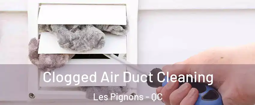  Clogged Air Duct Cleaning Les Pignons - QC