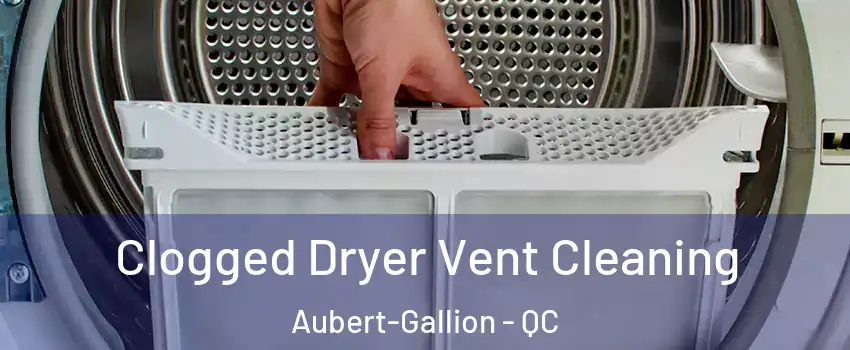  Clogged Dryer Vent Cleaning Aubert-Gallion - QC