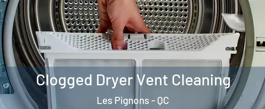  Clogged Dryer Vent Cleaning Les Pignons - QC