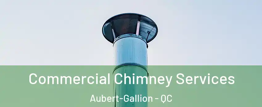  Commercial Chimney Services Aubert-Gallion - QC