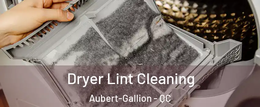  Dryer Lint Cleaning Aubert-Gallion - QC