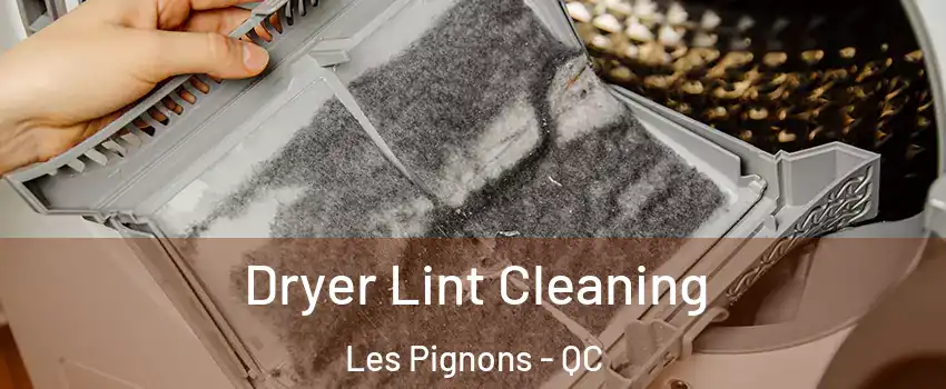  Dryer Lint Cleaning Les Pignons - QC