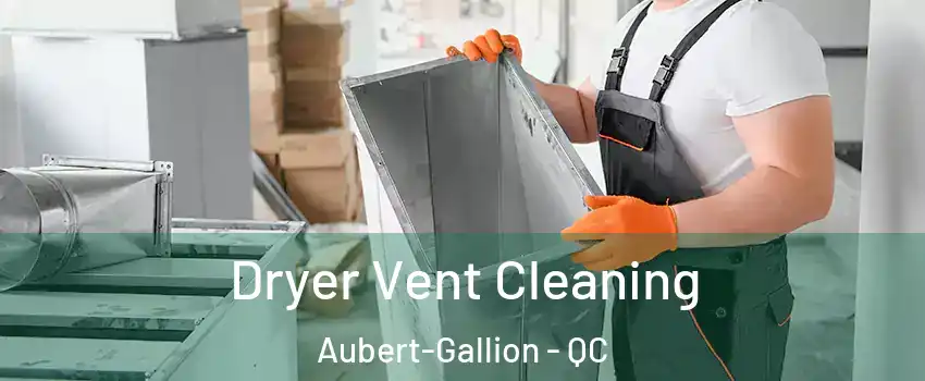  Dryer Vent Cleaning Aubert-Gallion - QC