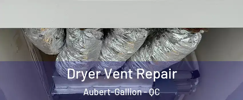  Dryer Vent Repair Aubert-Gallion - QC